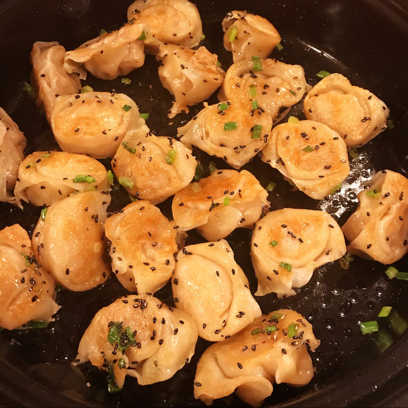 AirGO fried wontons (dumplings)